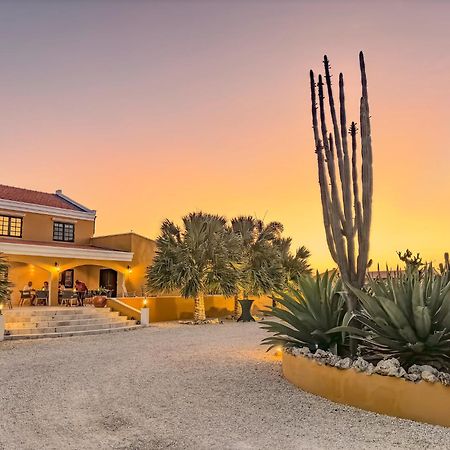 Boutique Hotel Wanapa - Adult Friendly - 14 Years And Older Playa Dış mekan fotoğraf